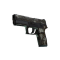 P250 | Bone Mask (Battle-Scarred)