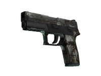 P250 | Bone Mask (Battle-Scarred)