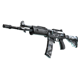 Galil AR | Winter Forest (Well-Worn)