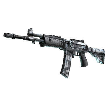 Galil AR | Winter Forest (Well-Worn)