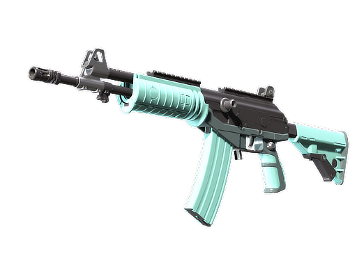 Galil AR Robin's Egg