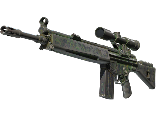 G3SG1 | Jungle Dashed