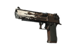 StatTrak™ Desert Eagle | Oxide Blaze (Well-Worn)