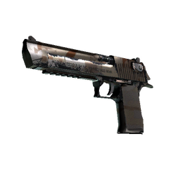 free cs2 skins Desert Eagle | The Bronze (Field-Tested)