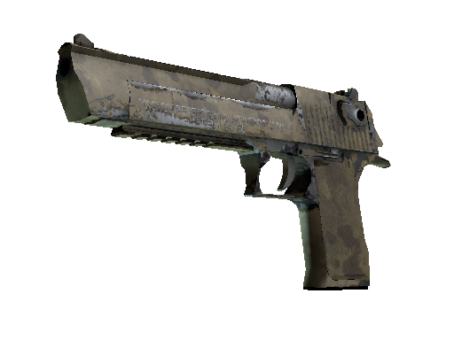 Desert Eagle | Mudder (Well-Worn)