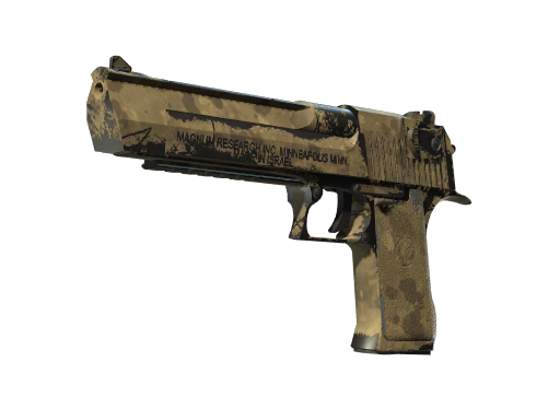 Desert Eagle | Mudder (Well-Worn)