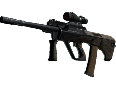 Souvenir AUG | Spalted Wood (Well-Worn)