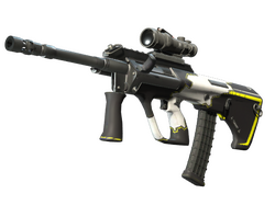 StatTrak AUG | Torque
