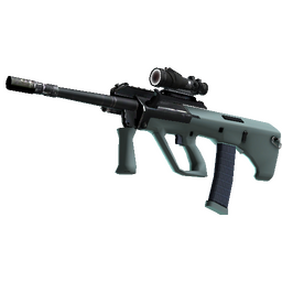 free csgo skin Souvenir AUG | Storm (Factory New)