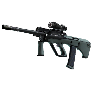 Souvenir AUG | Storm (Well-Worn)