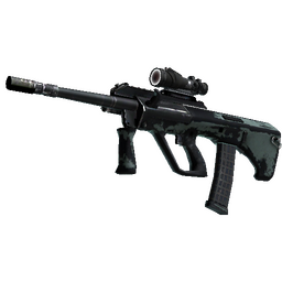 free csgo skin Souvenir AUG | Storm (Battle-Scarred)