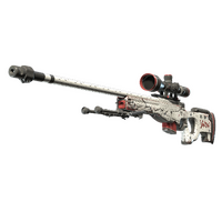 AWP | LongDog (Well-Worn)