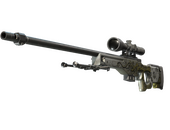 StatTrak™ AWP | Бог червей (Поношенное)