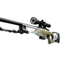 AWP | Worm God (Well-Worn)