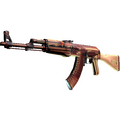 AK-47 | X-Ray (Well-Worn)