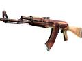 AK-47 | X-Ray
