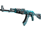 AK-47 | Frontside Misty