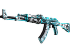 AK-47 | Frontside Misty