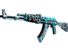 AK-47 | Frontside Misty