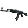 AK-47 | First Class (Well-Worn)