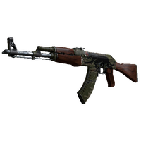 StatTrak™ AK-47 | Jaguar (Well-Worn)