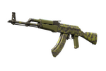 AK-47 | Olive Polycam (Well-Worn)