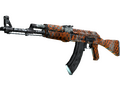 AK-47 | Safety Net