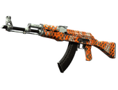 AK-47 | Safety Net (Well-Worn)