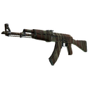 AK-47 | Predator (Well-Worn)