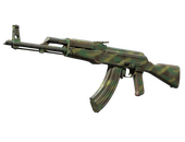 AK-47 | Jungle Spray (Well-Worn)