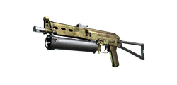 skinBest