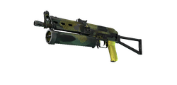 skinBest