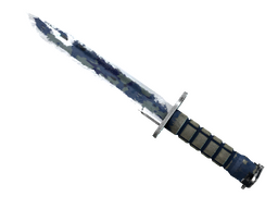 ★ Bayonet | Bright Water (Battle-Scarred)