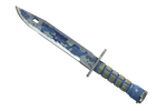 ★ Bayonet | Bright Water (Battle-Scarred)