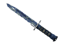 ★ Bayonet | Bright Water (Field-Tested)
