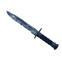 free csgo skin ★ StatTrak™ Bayonet | Bright Water (Factory New)