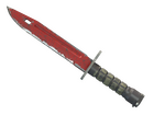 ★ Bayonet | Crimson Web