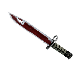 free csgo skin ★ StatTrak™ Bayonet | Crimson Web (Battle-Scarred)