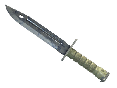 Bayonet ★ StatTrak™ | Stained