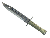 ★ Bayonet | Stained (Field-Tested)