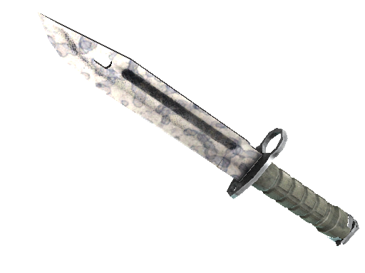 ★ Bayonet | Stained (Field-Tested)