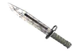 ★ Bayonet | Stained