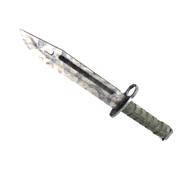 ★ Bayonet | Stained (Field-Tested)