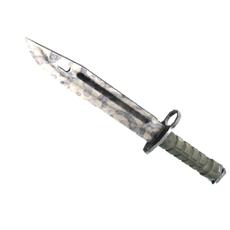 free cs2 skins ★ StatTrak™ Bayonet | Stained (Well-Worn)