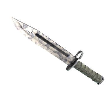 ★ Bayonet | Stained (Field-Tested)