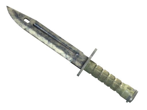★ Bayonet | Stained