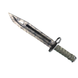 free csgo skin ★ StatTrak™ Bayonet | Stained (Battle-Scarred)