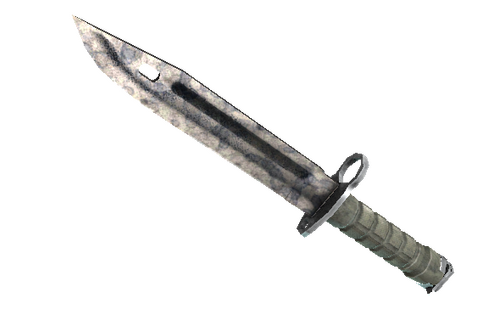 Buy ★ Bayonet | Stained (Battle-Scarred)