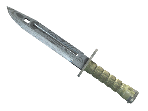 ★ Bayonet | Damascus Steel (Well-Worn)