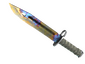 ★ Bayonet | Case Hardened